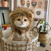 Gorro de cabeza de león