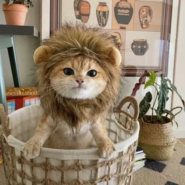 Gorro de cabeza de león