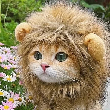 Gorro de cabeza de león