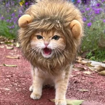 Gorro de cabeza de león